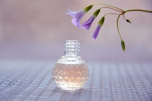 Les Parfums Incontournables : Guide d'Achat Complète